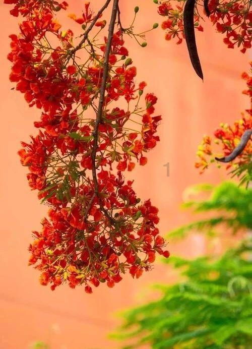 埋葬的秘密