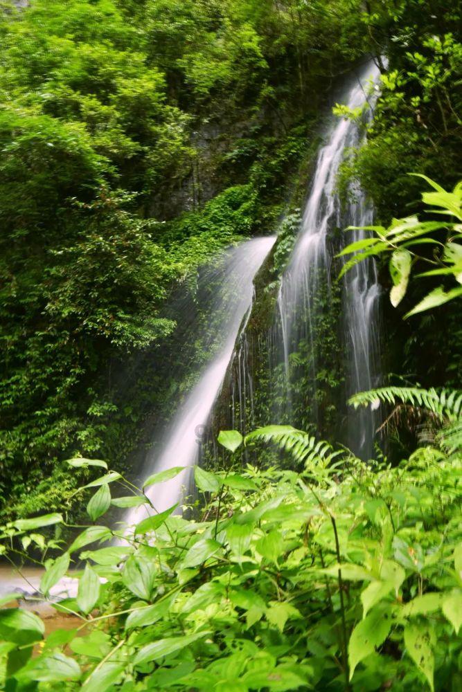 邻居的需求